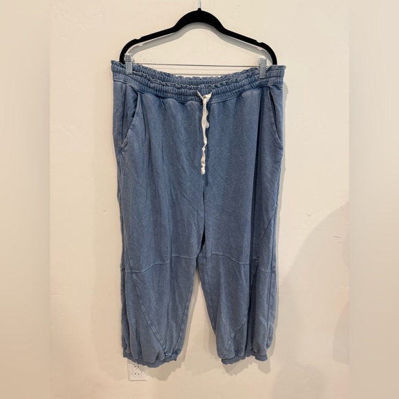 aerie Pants - Aerie Blue Wide Leg Sweatpants Womens Plus Size XL Baggy Loungewear Casual Cozy